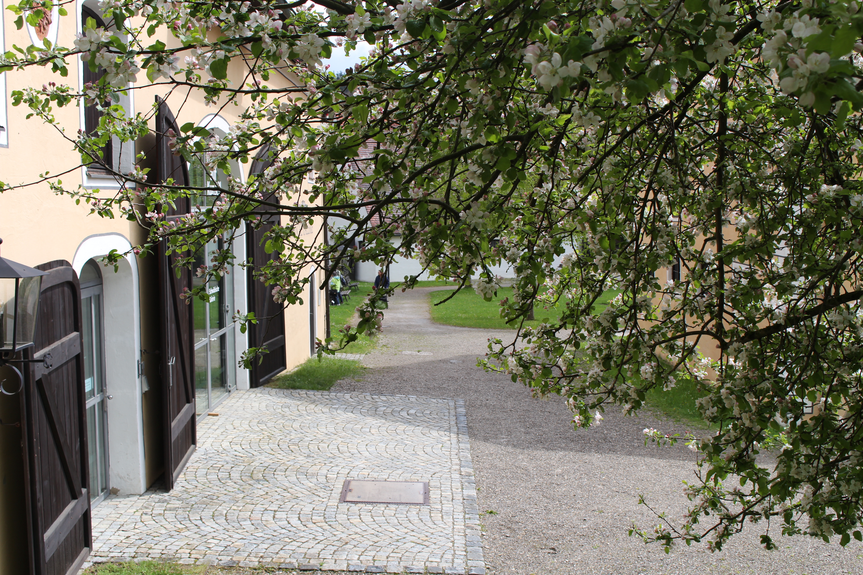 Eingang hinter Apfelbaum mit Blüten