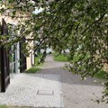 Eingang hinter Apfelbaum mit Blüten Eingang hinter Apfelbaum mit Blüten
