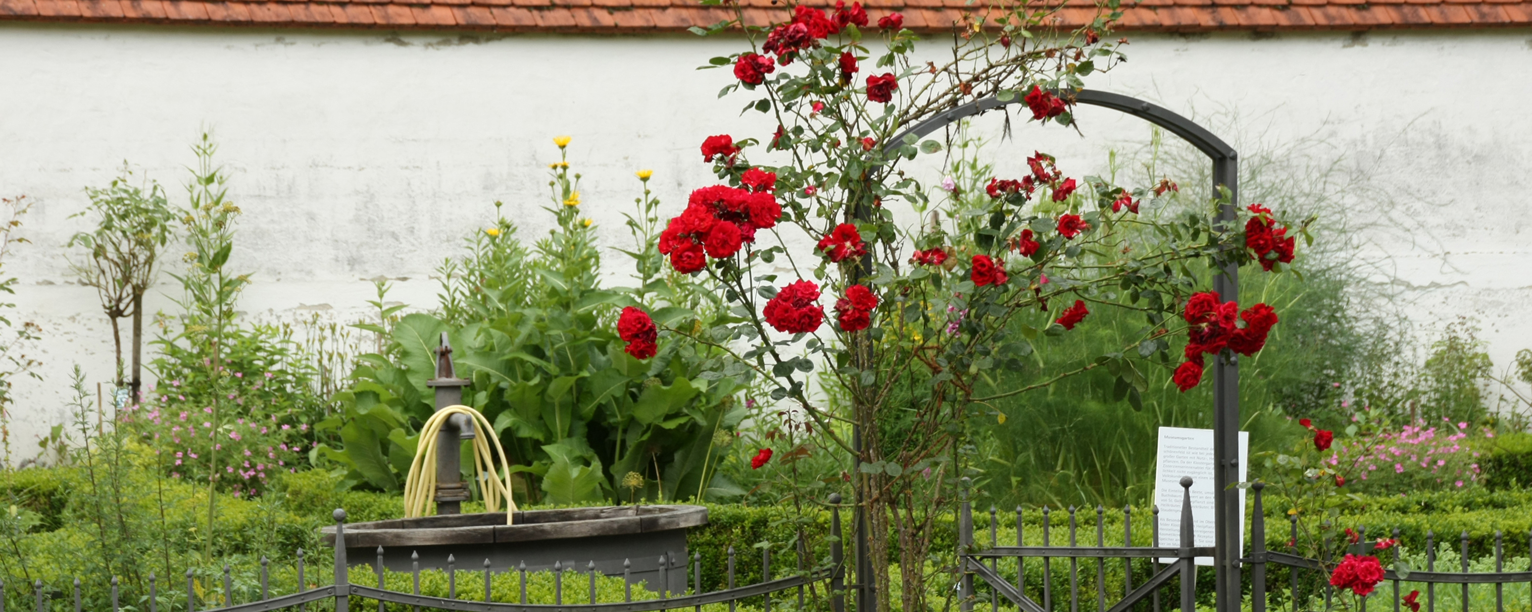 Rosenbogen am Eingang zum Museumsgarten