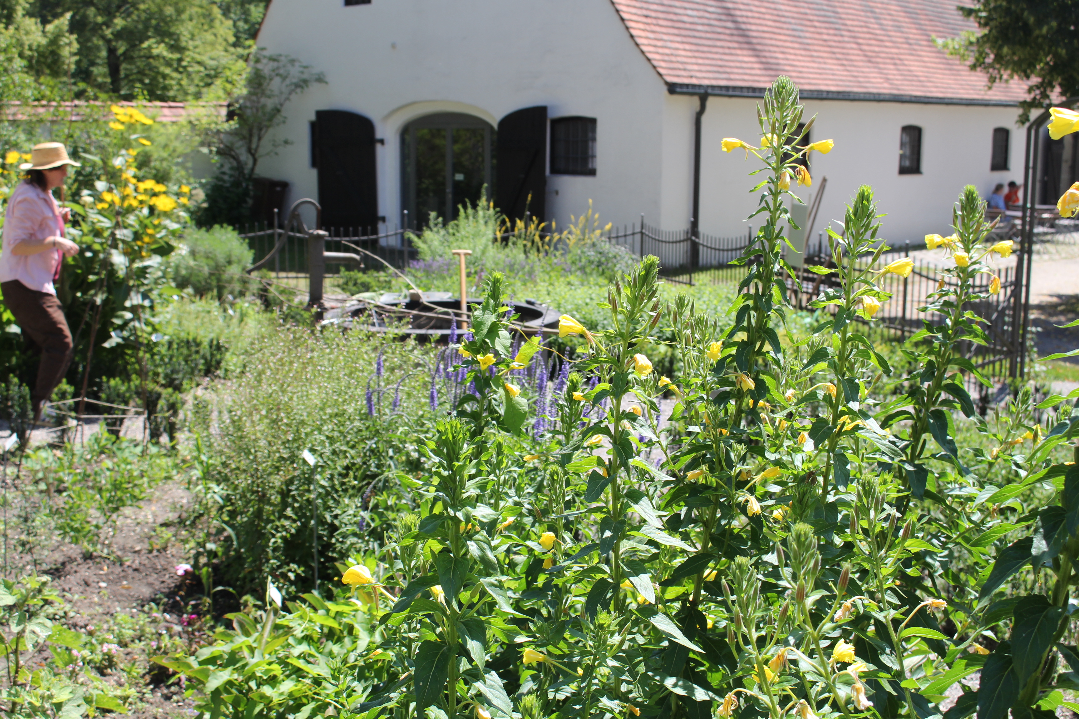 Gärtnerin mit Strohhut im Museumsgarten