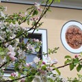 Ovale Tafel an Außenmauer