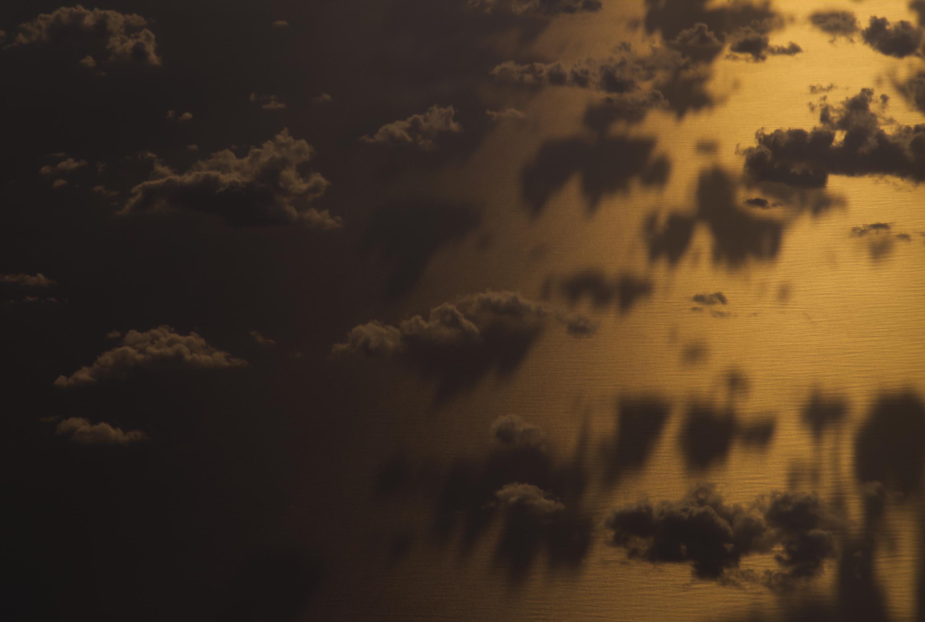 Offene Führungen: „Illusion – Fotografie, Video, Malerei“