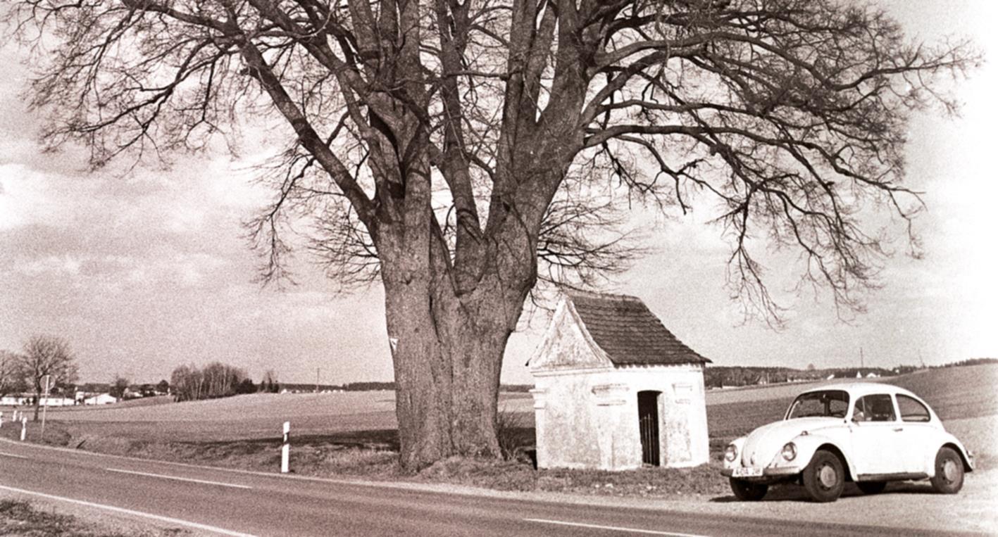 Kapelle zwischen Baum und Pkw